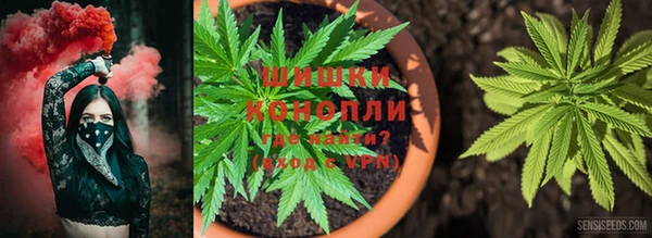 первитин Бородино