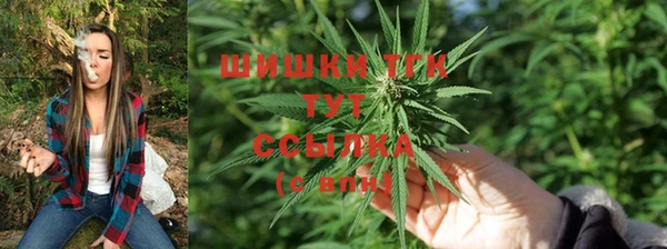 первитин Бородино