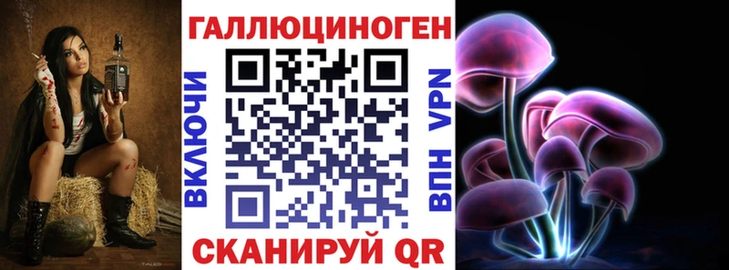 гидра онион  Волгодонск  Псилоцибиновые грибы Cubensis  наркотики 
